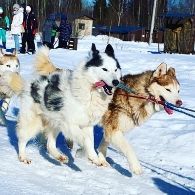 Large square 8d3ea92169