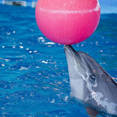 Large square 41bfcd01dd