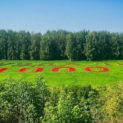 Large square f504862c96