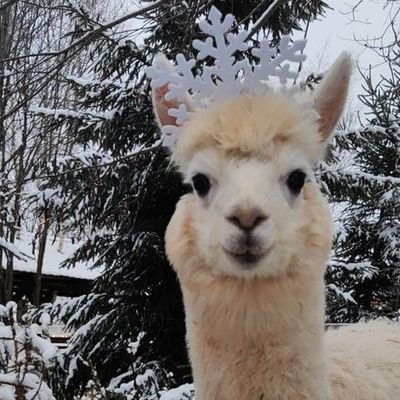 Large square e26dda2842