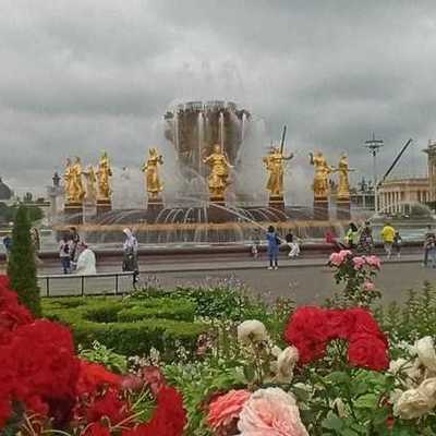 Large square 4724192226