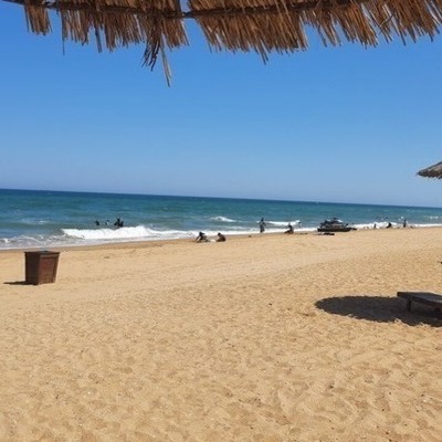 Large square 56c871fab8