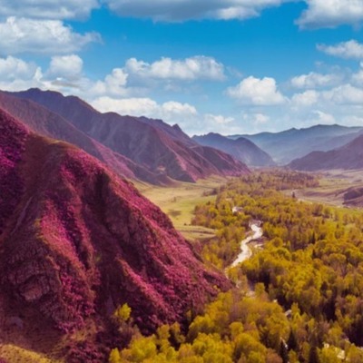 Large square baa7dcdeac