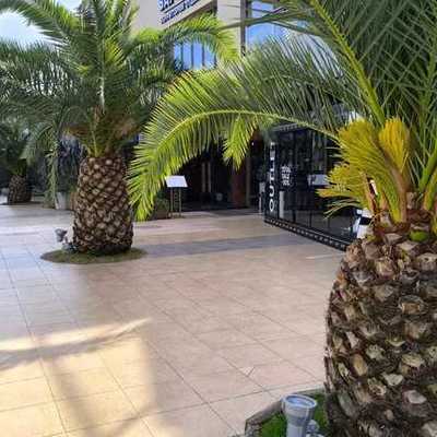 Large square e93daa0eb1