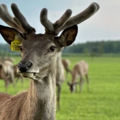 Large square d0c200007b