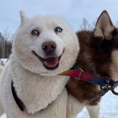 Large square d9f77f0a64