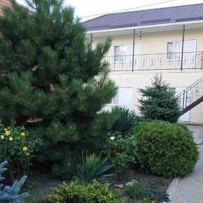 Large square 46cfa29ee7