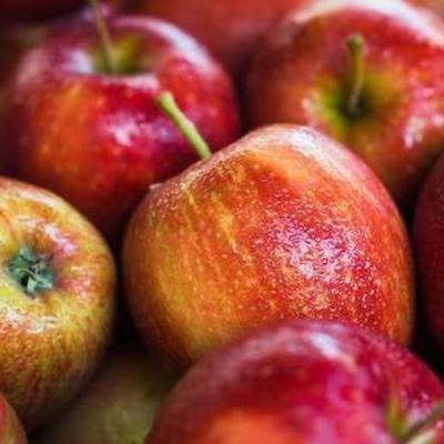 Large square 48f7d06edb