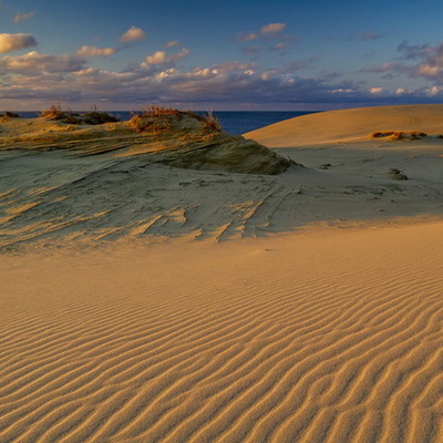 Large square c7534059b0