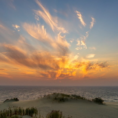 Large square bfa1246f0e