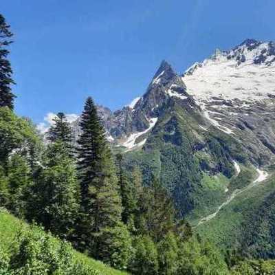 Large square a18bfa7f9e