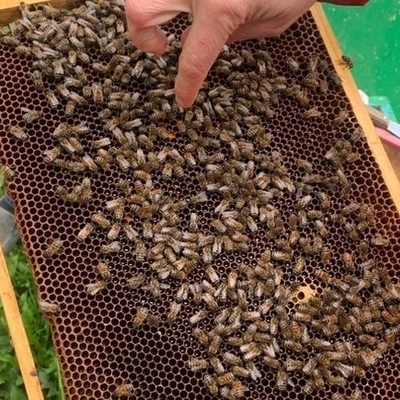 Large square 3f497e6476